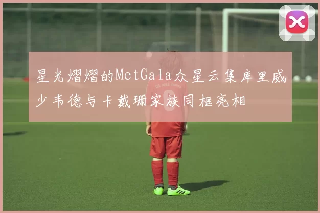 星光熠熠的MetGala众星云集库里威少韦德与卡戴珊家族同框亮相